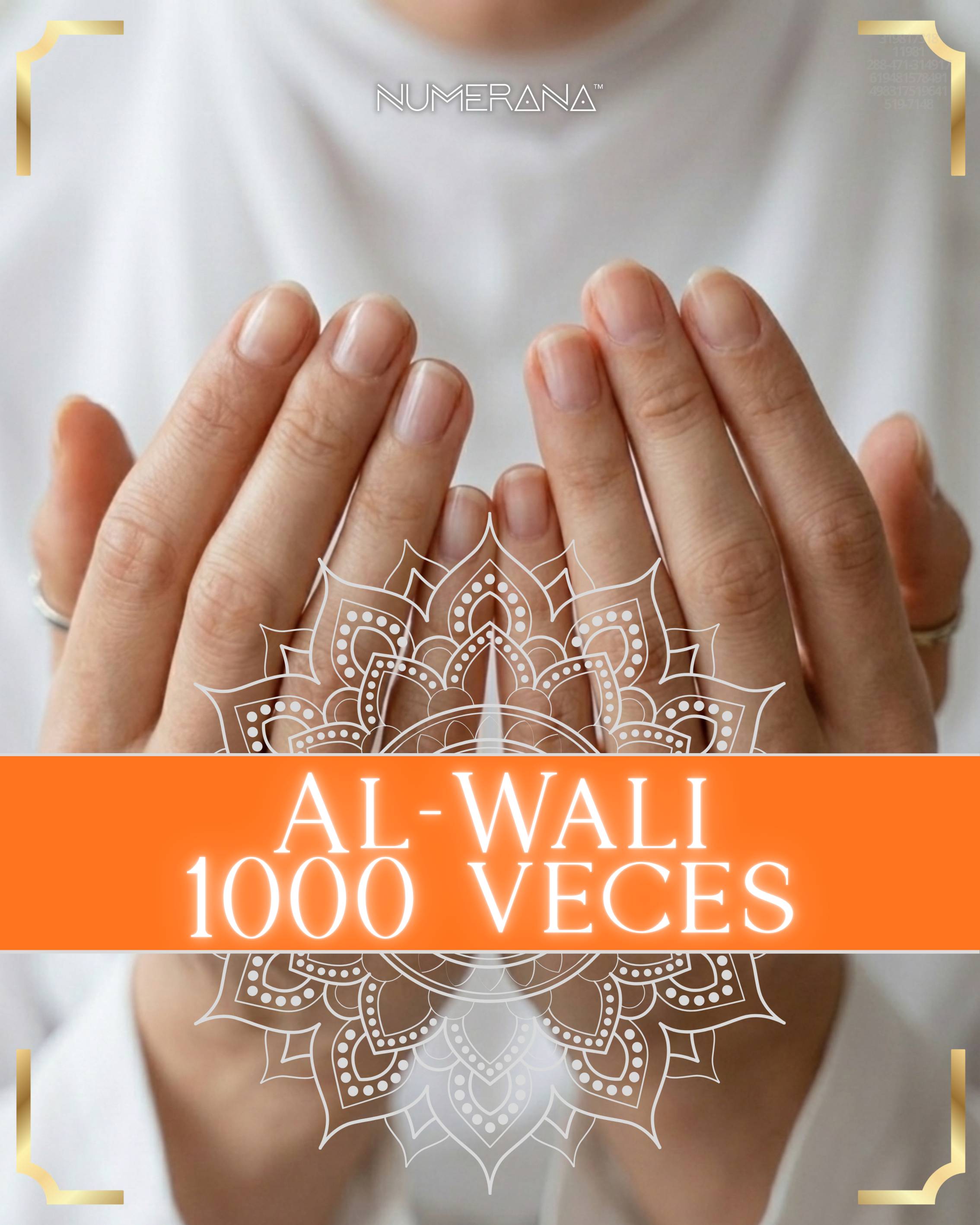 AL-WALI 1000 VECES